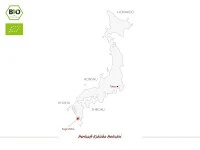 Kukicha Hatsukoi, Bio, Premium - Image 5