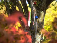 Windspiel, Furin Hamon Schwarz – Bild 6